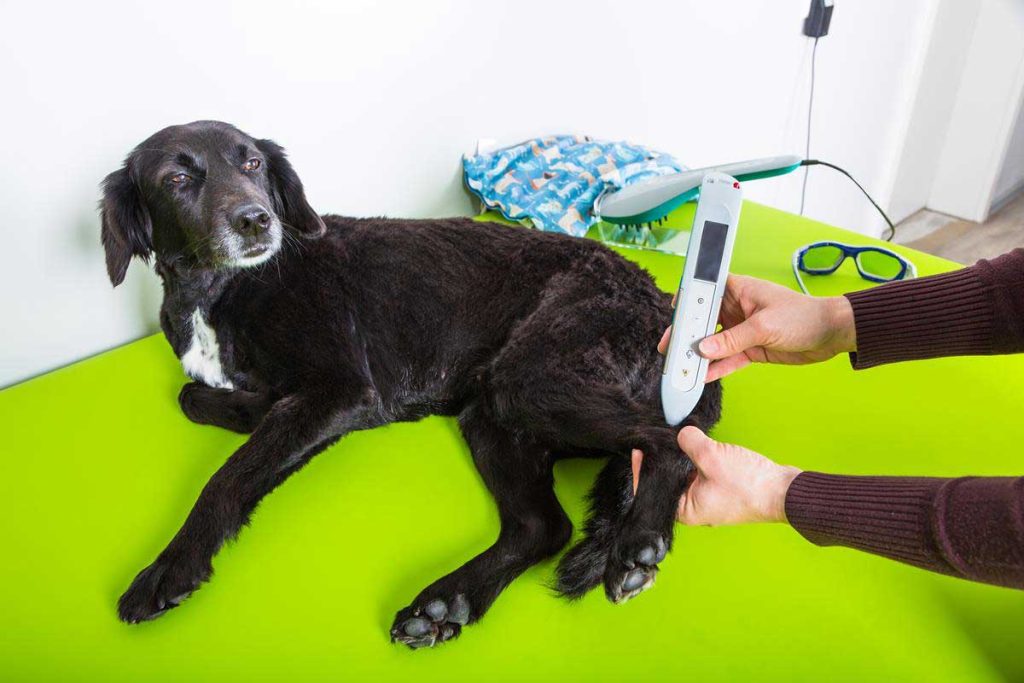 Laser Therapy